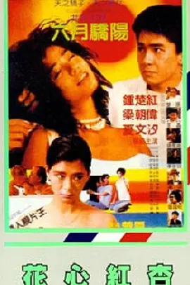 国产成人精品免费视频大全五级