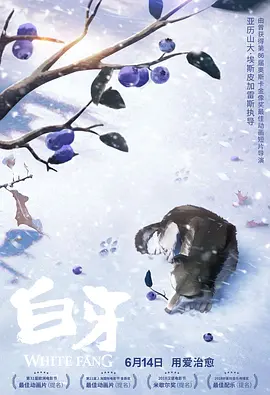 昨天晚上就开始模仿了