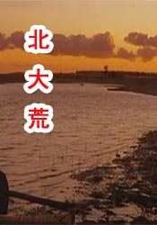 国产69精品久久久久999