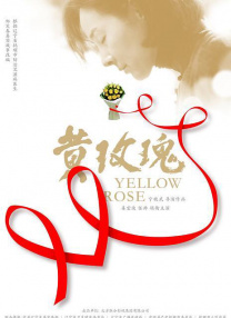 老司机网