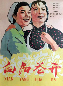 福利视频一区二区三区