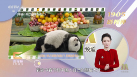 亚洲在线精品